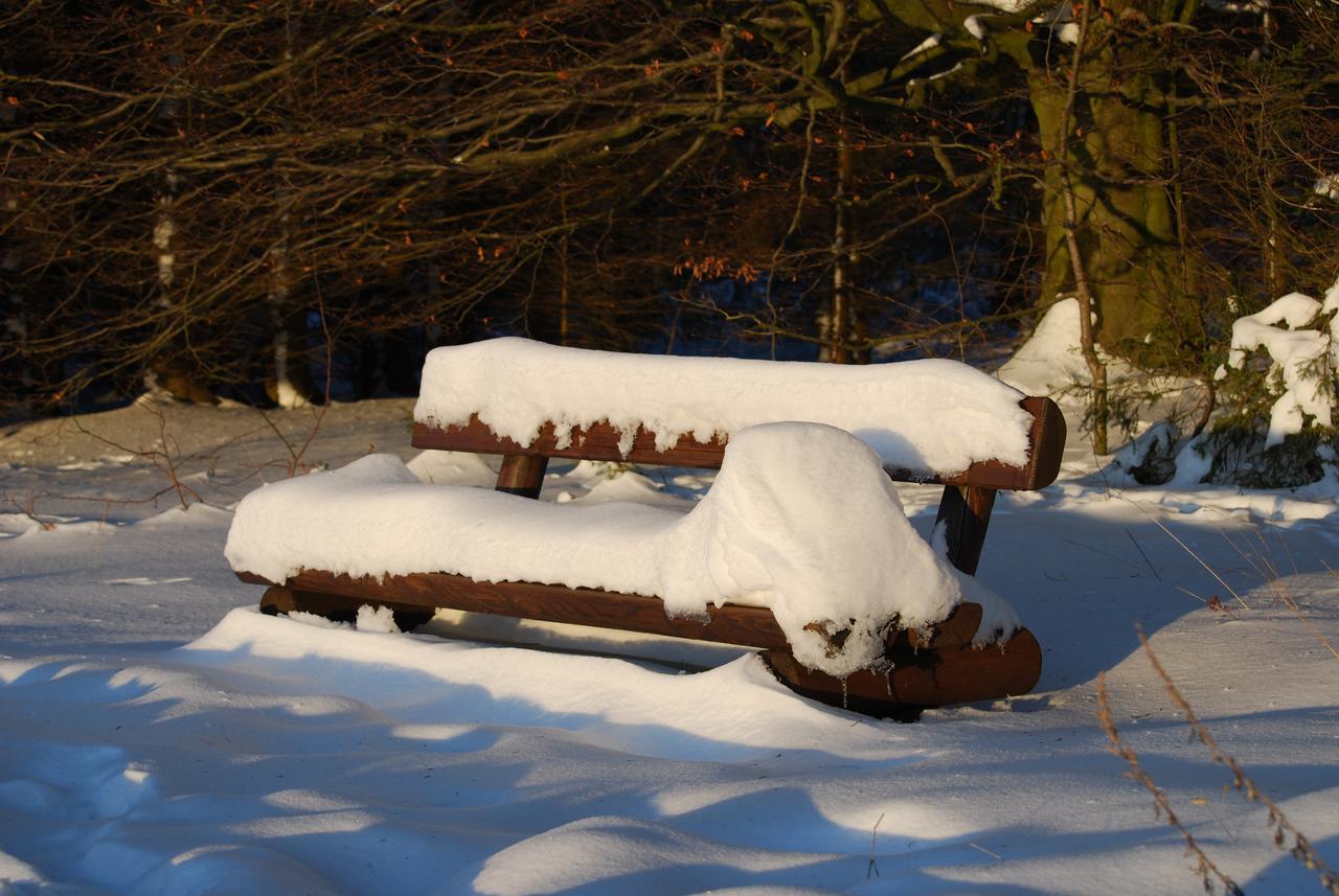 Hotel Waldhaus Foeckinghausen Bestwig Kültér fotó